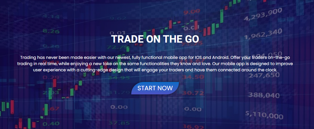 Tradingweb｜交易系統搭建